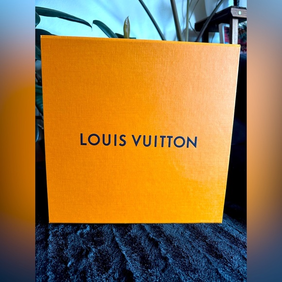 Louis Vuitton Dust cover box bag and ribbon - Picture 7 of 14